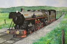 Black Prince 133